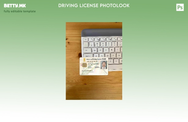 Модерен стил India DL photolook FRONT шаблон